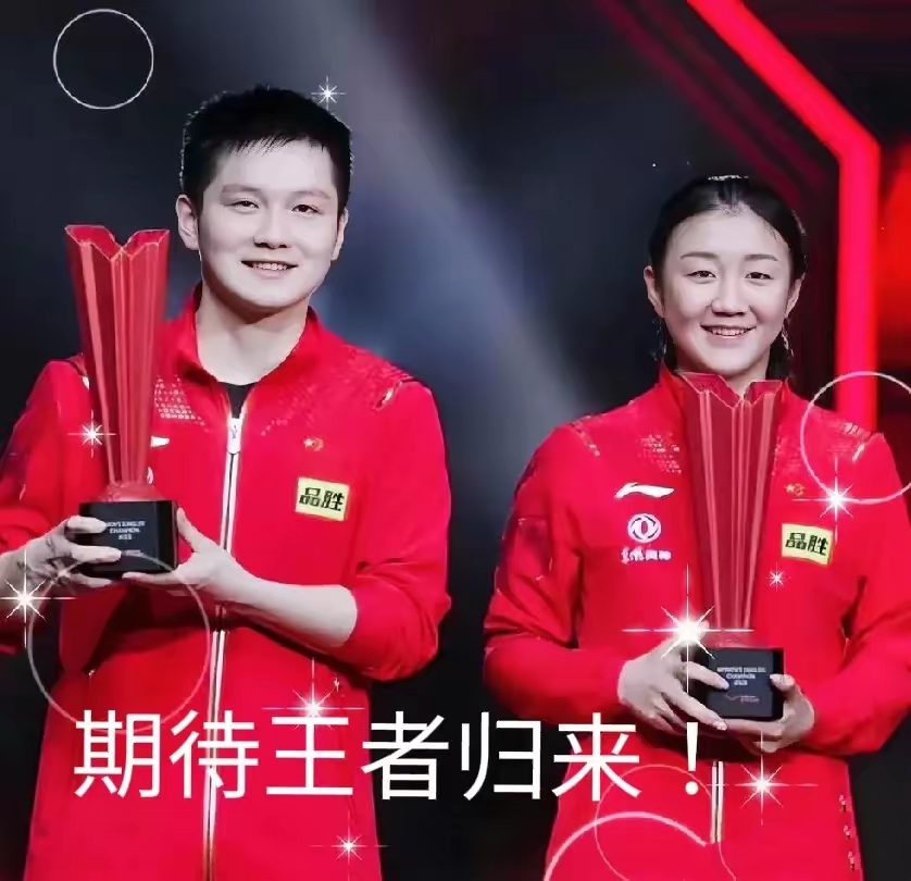 中国乒乓球队逆转法国乒乓球队，奥恰洛夫关键制胜的简单介绍