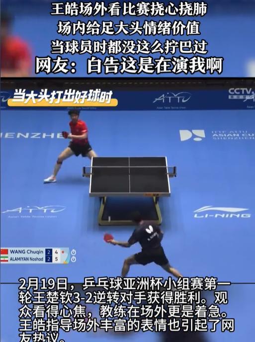 日本乒乓球队逆转德国乒乓球队，王皓爆发神勇的简单介绍