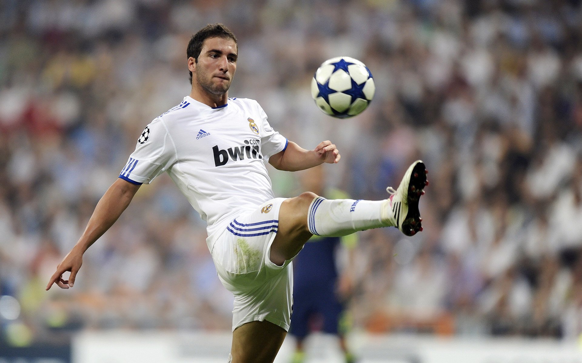 葡萄牙队轻取日本队，许昕状态火热，一场技术与意志的完美演绎